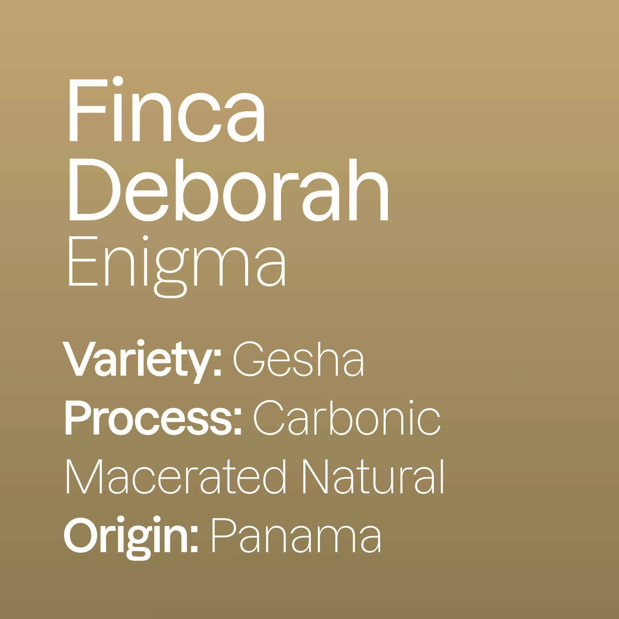 Finca Deborah Enigma