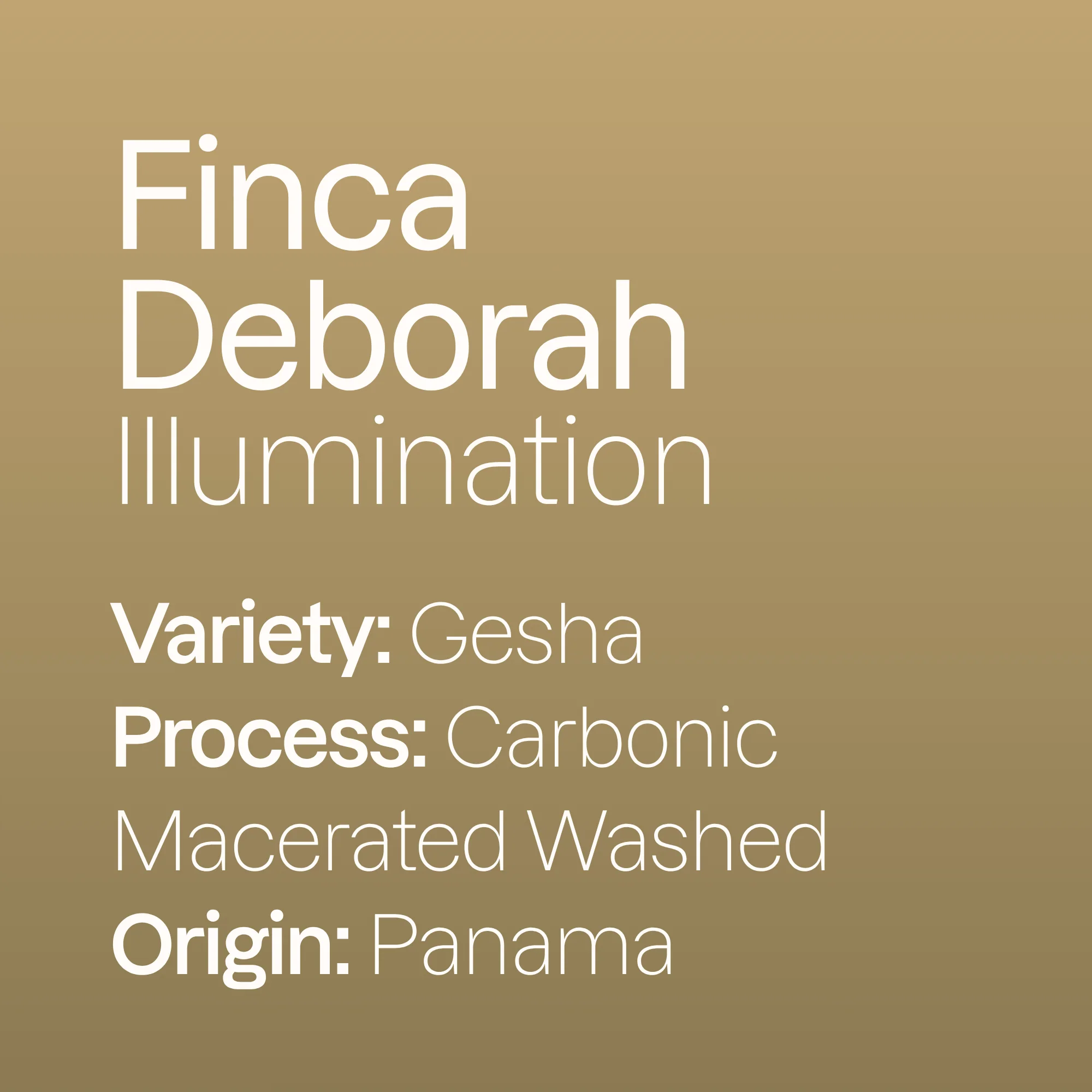 Finca Deborah Illumination